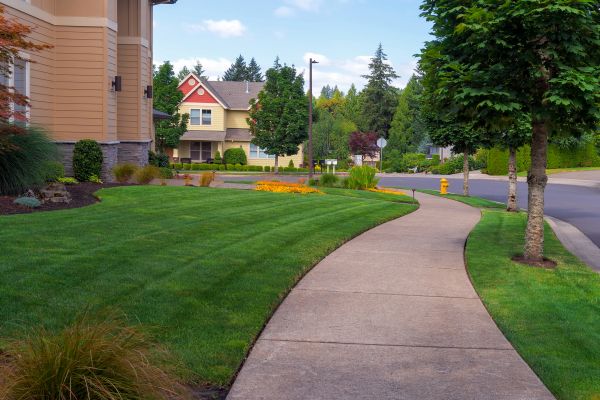 Cost of Sidewalk Patching in Turlock
